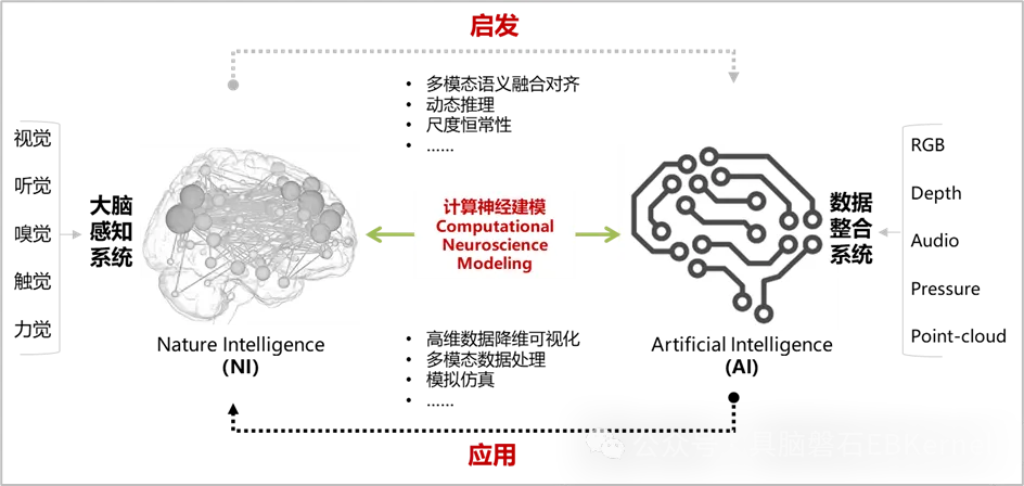一脑多机！「具脑磐石」完成首个脑启发具身智能大脑原型验证